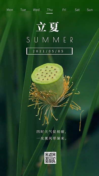 简约摄影绿色清新早安立夏唯美诗句日签