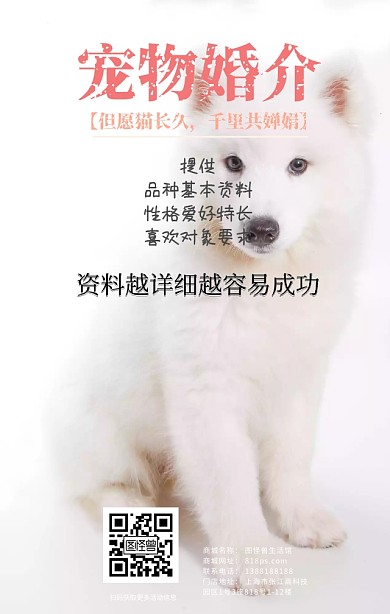 宠物婚介所猫咪狗狗浪漫爱情营销日签