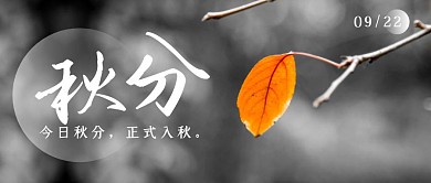 摄影黄叶秋分节气问候红包公众号封面首图