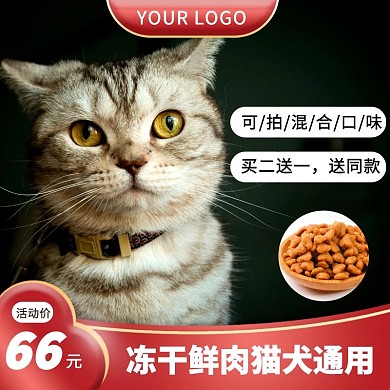 宠物猫猫粮主图/直通车