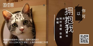 宠物简约棕色宠物领养横板海报