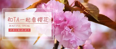 春天和爱人一起看樱花公众号封面