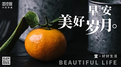橘子摄影图励志早安日签横版海报