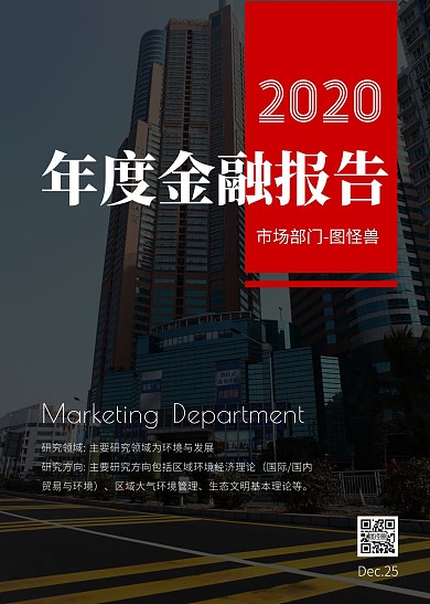 年度金融报告
