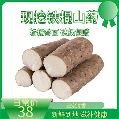 主图 山药 粉条 绿色 简约 滋补 