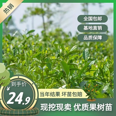 绿色大气水果苗电商主图直通车