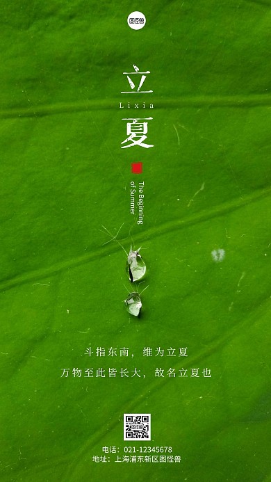 简约风立夏节气寓意摄影图海报