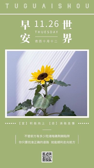 简约摄影早安安静日历日签