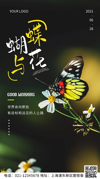 蝴蝶与花摄影风早安励志语录日签