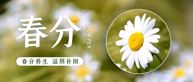 创意雏菊春分传统节气公众号封面