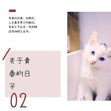 日系青春暖阳小猫咪文艺公众号配图