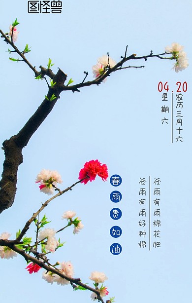 谷雨日签