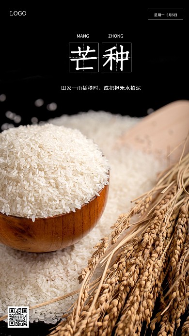 摄影风清新芒种日签
