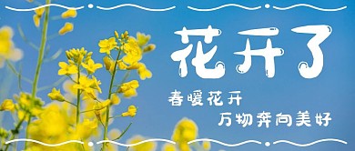 花开了摄影风蓝色公众号封面