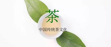 品味茶公众号封面