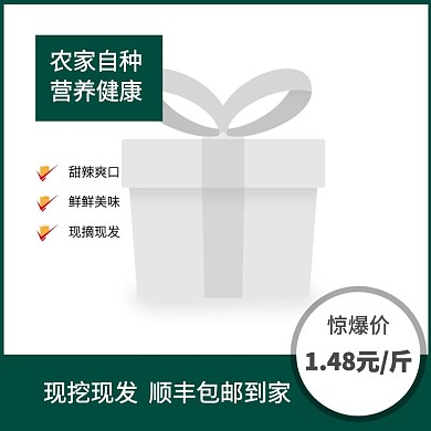 2020年绿色系食物大葱主图直通车