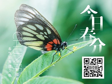 清新摄影植物昆虫春分节气摄影关注二维码