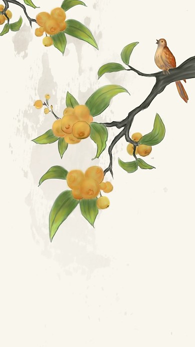 图怪兽原创元素古风插画琵琶黄鹂鸟背景