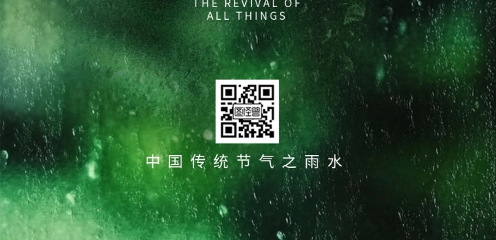 原创绿色清新雨水节气全屏海报