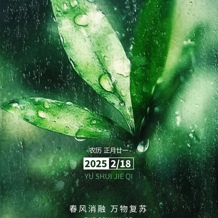 原创绿色清新雨水节气全屏海报