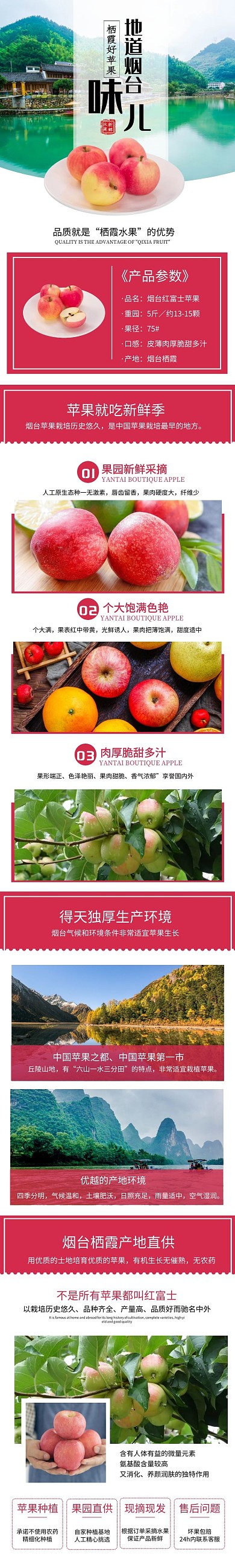 苹果电商水果脆甜烟台苹果简约详情页
