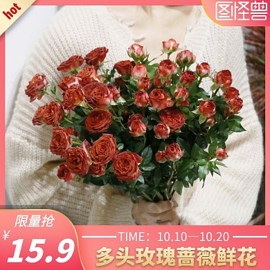 多头玫瑰蔷薇鲜花粉红色简约时尚主图直通车