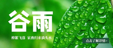 简约摄影风谷雨节气公众号封面首图