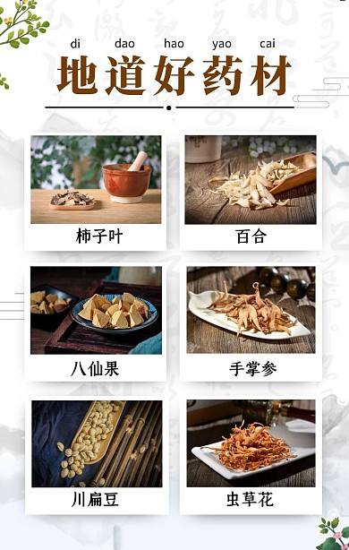 中国风地道好药材六宫格竖版拼图