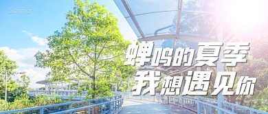 夏至问候小清新简约公众号封面首图