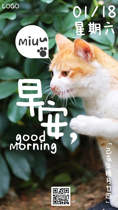早安可爱萌宠趣味摄影日签猫咪每日一签