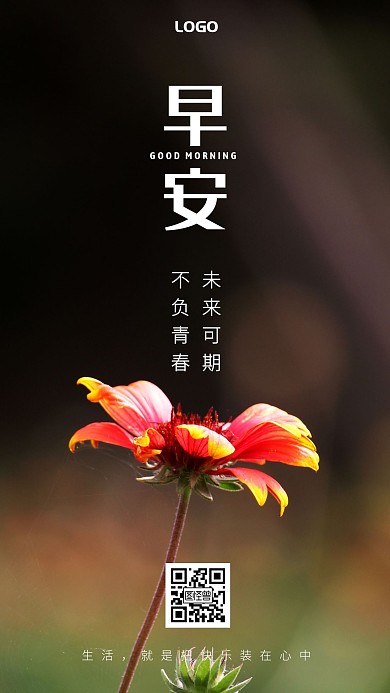 简约风红包早安励志鸡汤日签