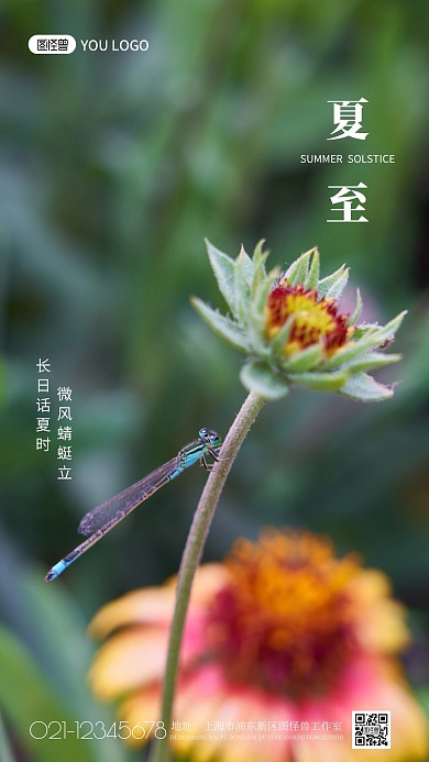 夏至休闲娱乐简约大气摄影图手机海报