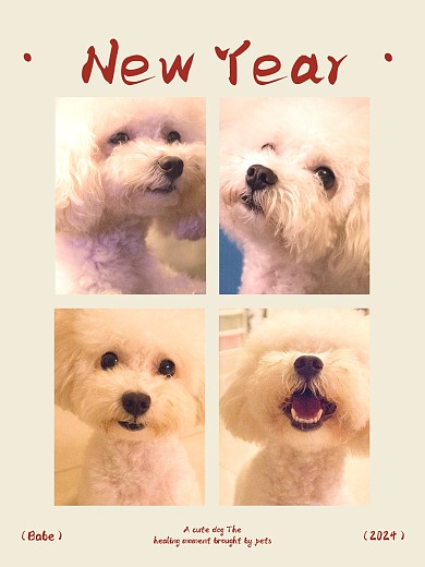 春节节日祝福宠物晒照效果模板