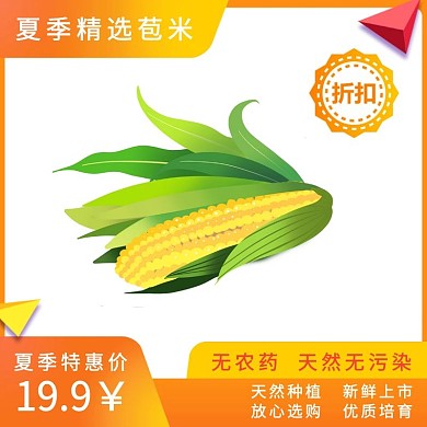 黄色创意夏季精选玉米主图 