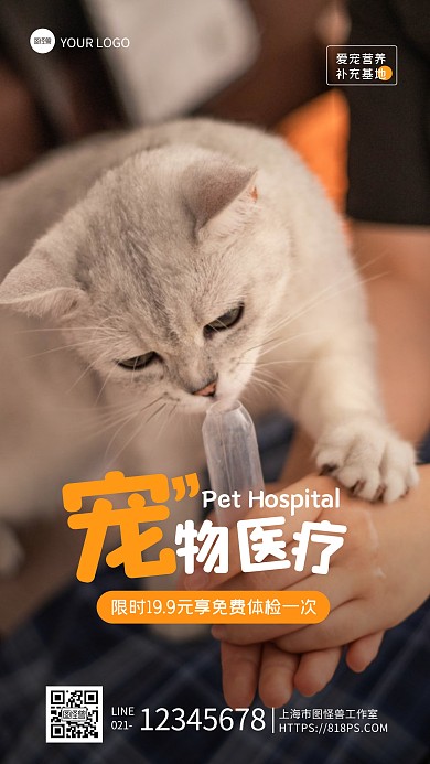 摄影风宠物医院宣传摄影图海报