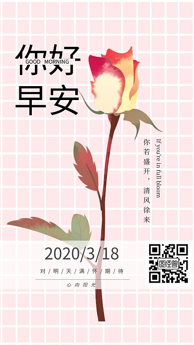 网格玫瑰粉色阳光日签
