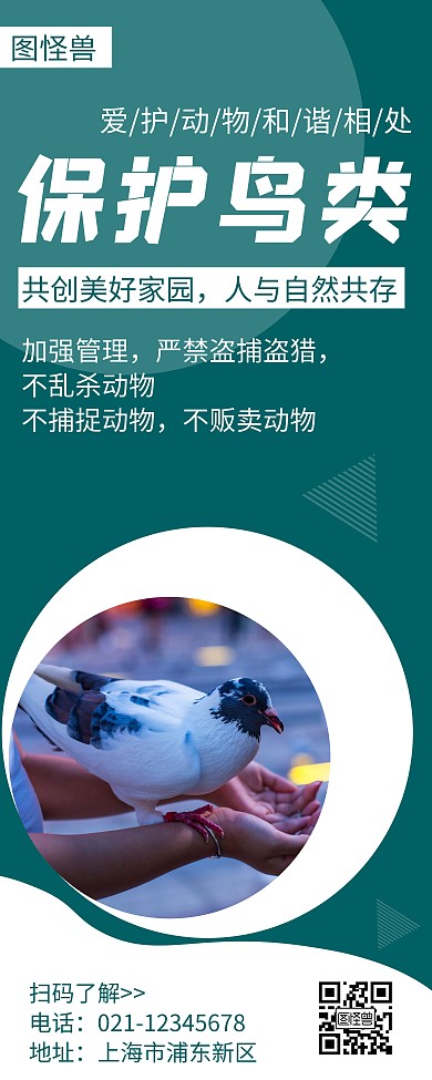 保护鸟类简约线框蓝色宣传易拉宝