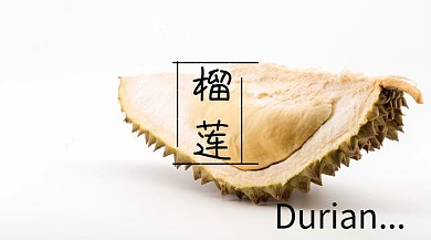 榴莲简约创意宣传公众号模版