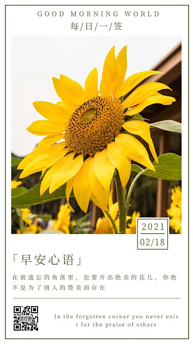 黄色简约摄影植物向日葵早安心语励志日签