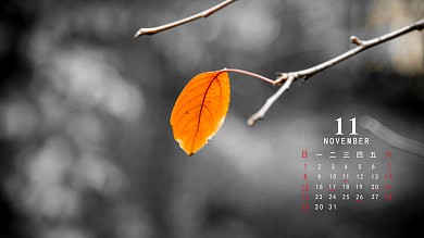 11月高清日历摄影电脑桌面