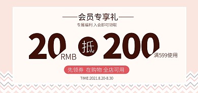 会员优惠券简约电商全屏banner