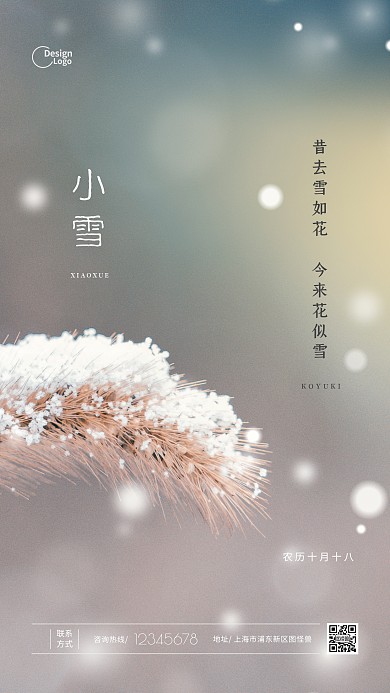 二十四节气小雪传统节日宣传推广摄影图海报