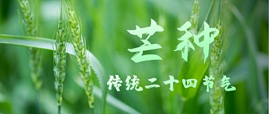 芒种传统节气公众号封面首图