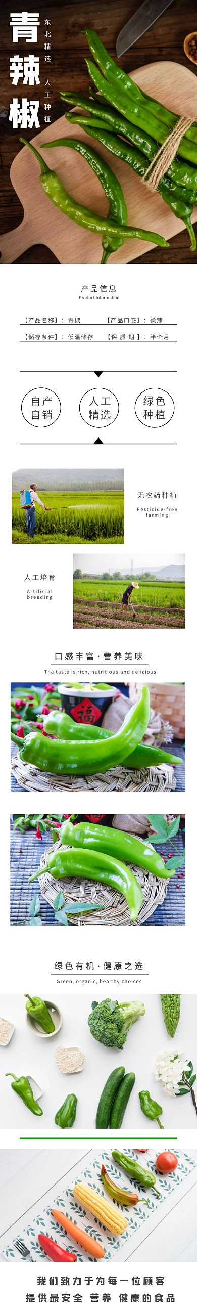 青辣椒彩色简约风详情页