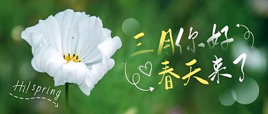 摄影风绿色简约春天来了公众号首图