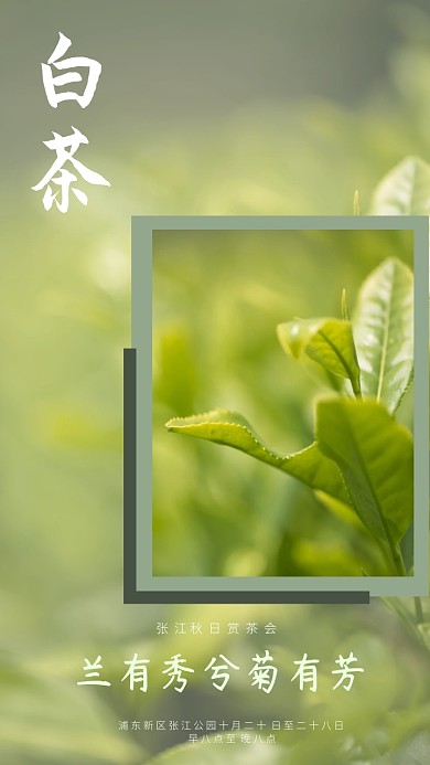 手机壁纸摄影图简约白茶
