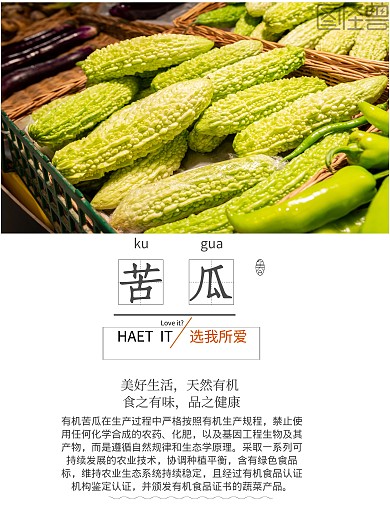 天然有机苦瓜食品宣传海报