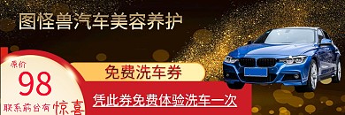洗车行金粉黑色大气免费洗车券