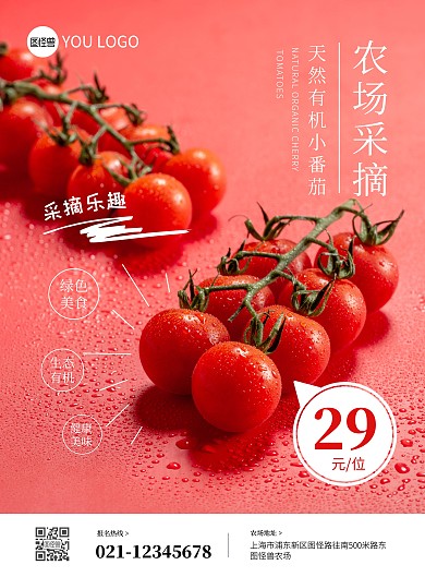 红色趣味小番茄农场采摘海报