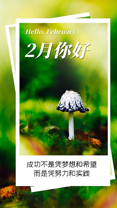 简约风格2月你好宣传手机拼图